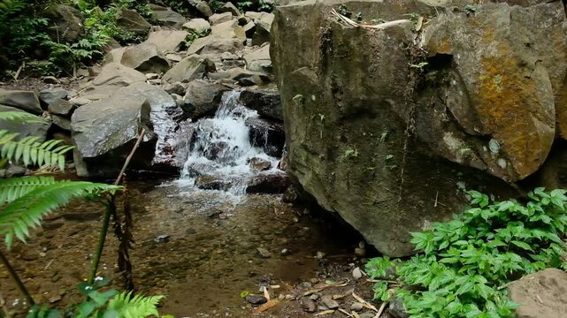 waterfall in the forest