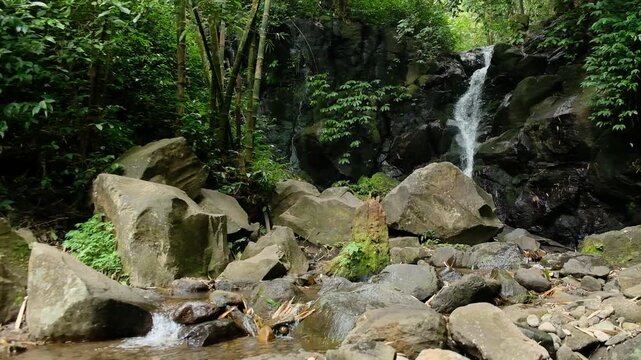 waterfall in the forest