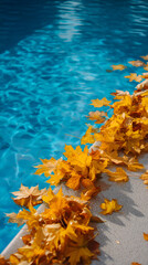 Autumn leaves float along the edge of a tranquil, reflective pool, capturing the serene beauty of a transitional season.