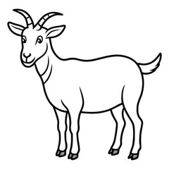 Goat vector 