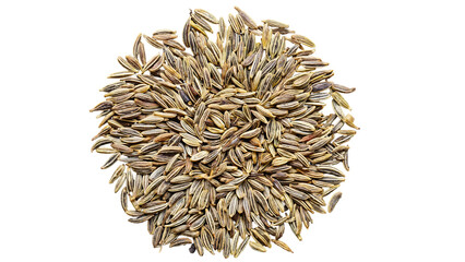 “Top-Down Caraway Seeds Circle | Minimalist Spice Photography”

“Close-Up Organic Caraway Seeds | Clean White Background”