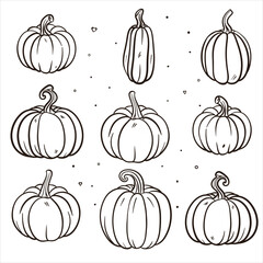 Autumn Pumpkin Line Art Illustration Set