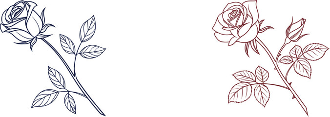 Hand Drawn Rose Flower Line Art Illustration Set with Stem, Bud, and Leaves