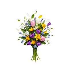 Celebrate spring with this cheerful bouquet of tulips, daffodils, and crocuses, perfect for vibrant designs, heartfelt greetings, and seasonal promotions.