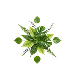 Botanical harmony with lush green leaves radiating in a modern design, perfect for eco-friendly branding or calming nature-inspired visuals, bringing freshness and vitality
