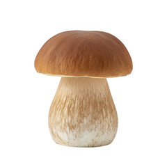 Fresh porcini mushroom isolated, perfect for autumn recipes and gourmet food promotions, ideal for culinary blogs and restaurant advertising projects with natural ingredients