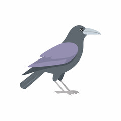 Obraz premium Minimalist flat vector illustration of a dark gray crow or raven bird standing
