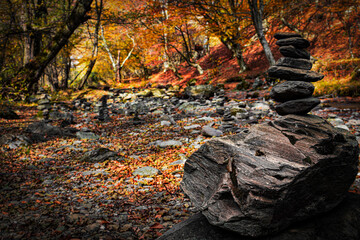 Stacked stones on a large rock in a colorful autumn forest near Kalofer, Bulgaria, surrounded by fallen leaves and warm seasonal light.