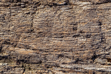A Detailed Close-Up of Rugged, Highly Layered Sedimentary Rock