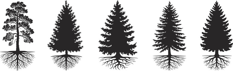 Set of five different tree silhouettes with visible roots on white background, nature diversity concept showing botanical structure and growth pattern