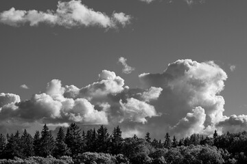Dramatic cumulus clouds over a Scandinavian forest edge near Stockholm, captured in monochrome emphasizing texture, light and atmospheric contrast