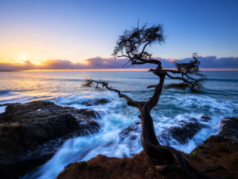 Dramatic sunrise over a rugged coastline featuring a gnarled, solitary tree silhouetted against the vibrant sky. Long exposure waves crash against dark rocks, creating a serene and powerful natural sc - Powered by Adobe
