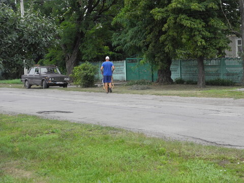 A man in a blue T-shirt is transporting things in a wheelbarrow; his face is not visible. woman walking in the park
