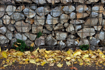 Autumn colors in the park