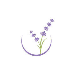 lavender logo design for your business
