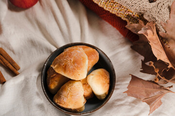 autumn seasonal baking, apple pie pastries, traditional ukrainian bakery, cozy atmosphere with apples, cinnamon sticks, white linen textile, warm tones knitwear