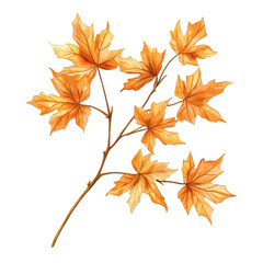 Watercolor Autumn Maple Leaf Branch Clipart: Rustic Fall Foliage
