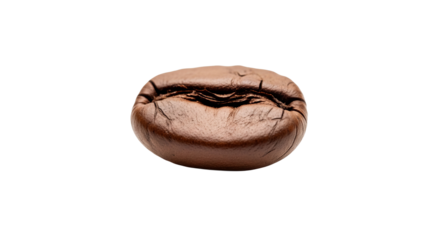 Roasted coffee bean shows rich dark brown color and texture against a solid background.