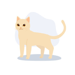 beige cat,white cat standing gracefully perfect for animal lovers graphic designers and modern creative projects