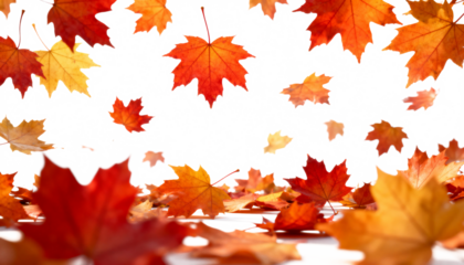 Vibrant autumn leaves falling against a dark background, seasonal nature scene