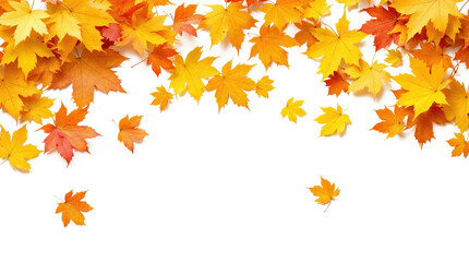 Autumn leaves falling with a black background, perfect for seasonal designs