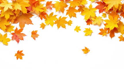 Autumn leaves falling with a black background, perfect for seasonal designs