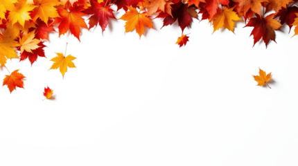 Vibrant autumn leaves border a blank space for text or design elements