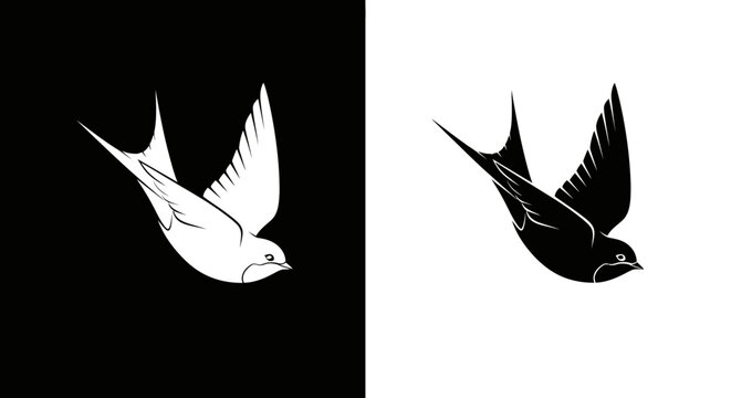 Elegant flying swallow bird graphic in black and white versions.