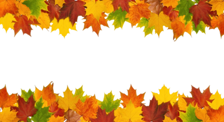 Vibrant autumn leaves frame a black background, perfect for seasonal designs