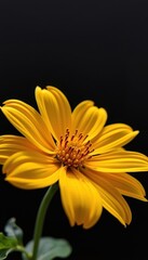 Close-up macro shot of a vibrant yellow metallic flower against a stark black background, contrast, close-up, unique
