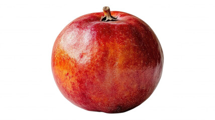 A single pomegranate fruit on a plain black background view