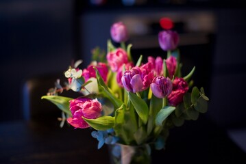 Bouquet of pink and purple tulips in a vase on blurred dark background
