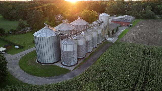 Aerial footage of grain storage facility surrounded by farmland at sunset.  Shot of rows of silver silos beside a barn and open fields of corn and soil in the warm golden light.
