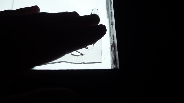 Learn how to easily decorate your window for Halloween by applying silicone spider shapes. This fun activity creates a festive atmosphere in no time