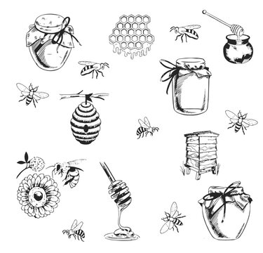 Cute honey set. jars of honey, bees, honeycomb. hand drawn illustration