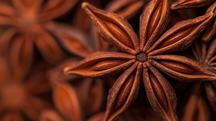 Close up view of star anise spice pods showcasing their star shape and textured surface
