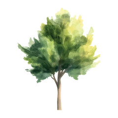 Watercolor Illustration of a Lush Green Tree with Yellow watercolor illutrastion transparent background