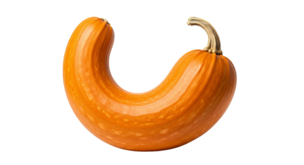 U-shaped pumpkin curves against the background with visible stem details. - high quality U-shaped pumpkin curves against the background with visible s