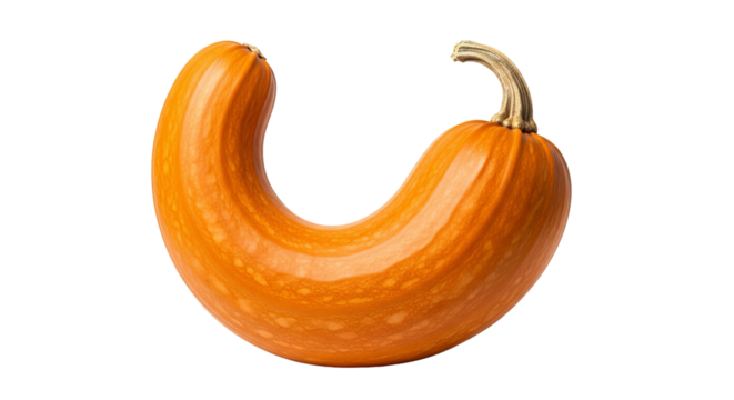 U-shaped pumpkin curves against the background with visible stem details. - high quality U-shaped pumpkin curves against the background with visible s