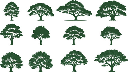 Fototapeta premium This set of vintage-style oak tree vector illustrations is perfect for landscape designs, logos, environmental posters, or any nature-themed graphic element. Its minimalist and elegant appearance rese