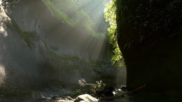 由布川峡谷（猿渡入り口より上流側）