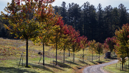 Autumn in the mountains of North Carolina.