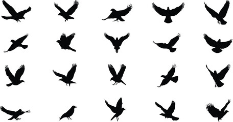 Bird silhouettes, flying poses, avian motion, wing positions, black shapes, nature reference, ornithology study, wildlife design, posture guide, grid layout