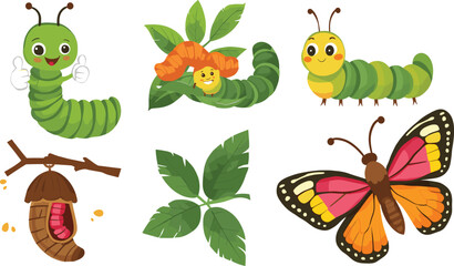Cartoon caterpillar to butterfly life cycle vector, metamorphosis with chrysalis, cocoon, larva and colorful insect illustration for education