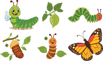 Caterpillar to butterfly life cycle vector illustration with cartoon insect, chrysalis, cocoon, leaves, metamorphosis and colorful monarch butterfly