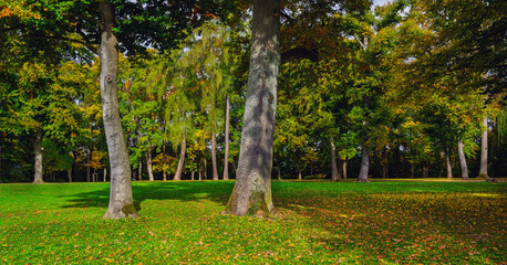 Schönes Herbstwetter in Waldlandschaft und im Park in Marburg unterwegs