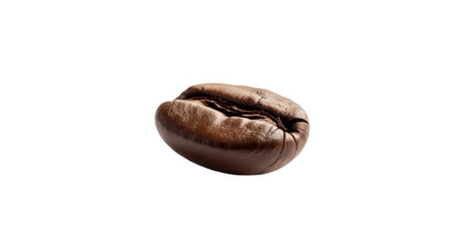A single coffee bean sits isolated in front of a isolated background, showcasing its natural brown color and distinct shape.