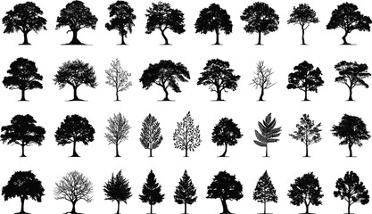 Large collection of diverse tree silhouettes, featuring various species like oaks, pines, and ferns, for nature, landscape, and architectural graphic design assets.