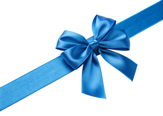 blue gift bow