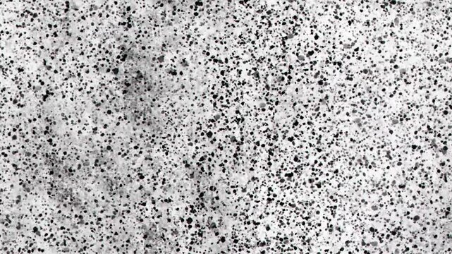 Subtle halftone vector texture overlay. Monochrome abstract splattered background, gritty splattered spray, grunge dotted effect, old vintage design.